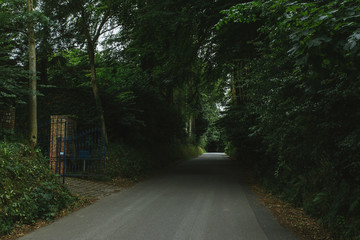 Obraz premium Empty asphalt country road passing through green forests and villages. Summer countryside landscape in the region of Normandy, France. Recreation, nature, holidays, travel and road network concept.