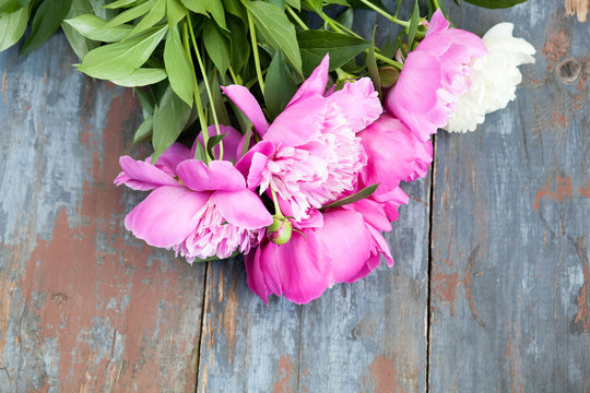 Peony background. Pink and peonies on wooden table with place for text. Spring flower peony. Happy Mothers Day. Mother's Day greetings card. Mothers Day gift. Copy space.