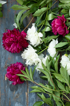 Peony background. Pink and peonies on wooden table with place for text. Spring flower peony. Happy Mothers Day. Mother's Day greetings card. Mothers Day gift. Copy space.
