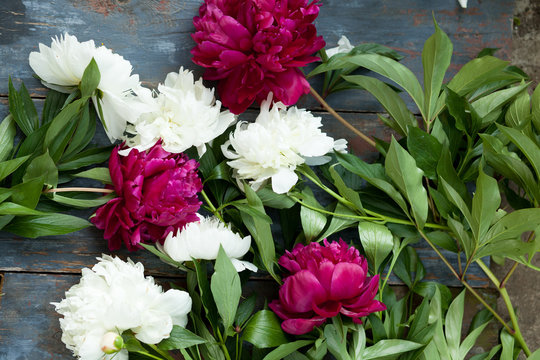 Peony background. Pink and peonies on wooden table with place for text. Spring flower peony. Happy Mothers Day. Mother's Day greetings card. Mothers Day gift. Copy space.