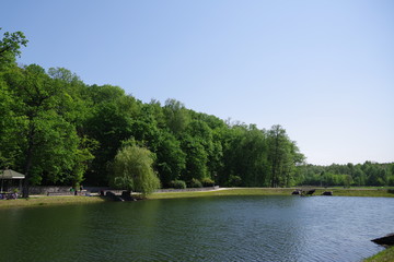 park with a small pond and trees