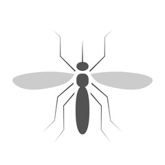 Mosquito vector icon