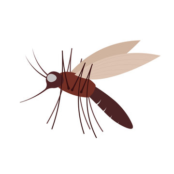 Mosquito vector icon