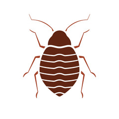 Bed bug icon