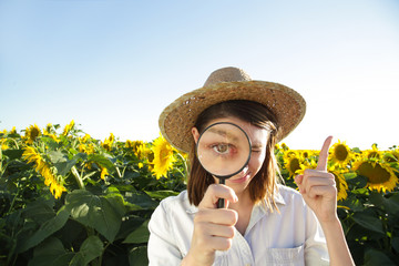 Young farmer or agronomist woman examine the sunflower field with magnifying glass
