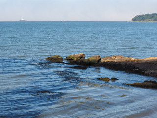Firth of Forth in Edinburgh