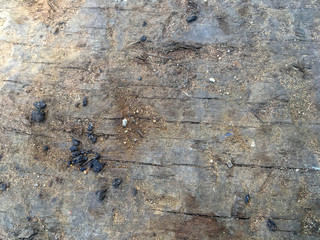 Abstract wooden background