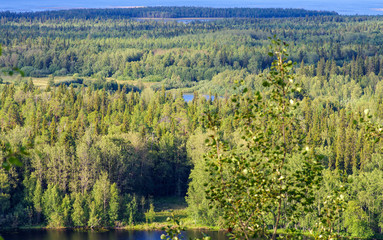 View on the forest from Holy Ascension Skete with Sekirnaya mountains on Solovki