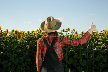 Back view of farmer or agronomist woman looking at the sunflower field showing thumb up as approval...