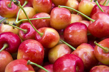 Cherries with petioles - close-up