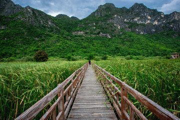 Fototapeta na wymiar The wooden bridge overlooking the scenery at Sam Roi Yod National Park. It is beautiful and surrounded by nature in Prachuap Khiri Khan, Thailand.