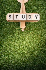 top view of wooden toy plane and study inscription made of blocks on green grass