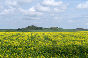 Podilski Tovtry National nature park, Podolia region of Ukraine