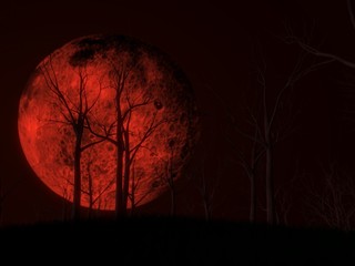 blood moon scene with dark woods. 3d illustration