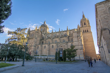 Vista de la catedral nueva de Salamanca desde la plaza Anaya 