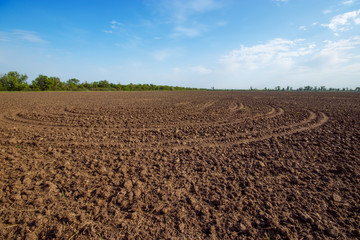 Fototapeta na wymiar land on the field for planting \ bright spring photo ukraine midday