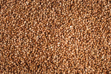  Buckwheat close-up. Background of buckwheat. Useful grains of buckwheat