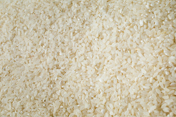 Photo of ri of good quality close up