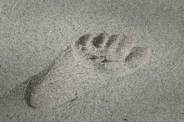 A footprint on the sandy beach