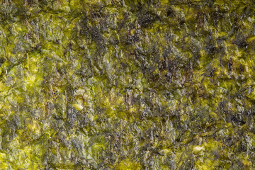 Dried seaweed sheet background. Closeup dry nori japanese food texture. top view