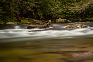 Smooth Water Flowing in Spring Creek