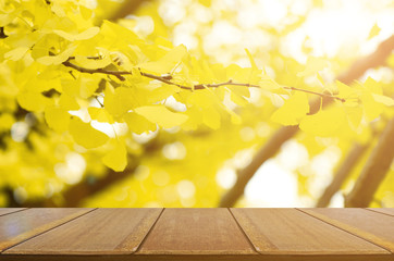 Fototapeta na wymiar Perspective wood table and fully yellow of Ginko autumn leaves with bokeh background.
