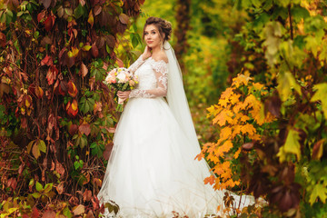 Luxury stylish young bride on the background autumn colourful forest
