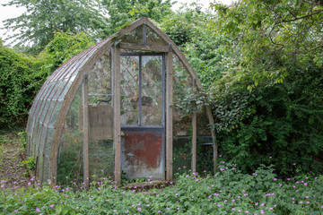 Old disused decaying greenhouse