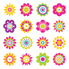 Flowers Blooming Collection Vector Illustration