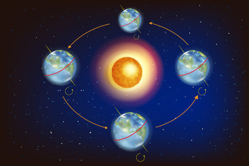 The Seasons on Earth. Illustration showing Earth's position in relation to the Sun at the equinoxes and solstices.