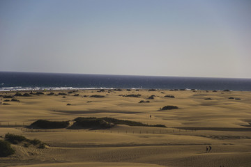 Fototapeta na wymiar maspalomas dunes, gran canaria, spain - summer evening time, wind is blowing the sand up, sunset and golden hour, dunes, perfect time, end of sunny day