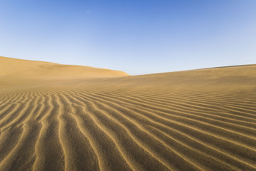 dunes in desert are sandy and are all the time in the move, wind is blowing the sand and making new hills, shapes and creations