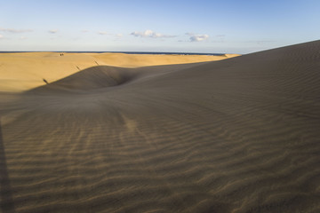 dunes sand desert. maspalomas, gran canaria, spain, canary islands. dunes are always in the move because of strong wind. strong desert.