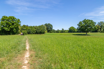 A pathway through a field in Sussex