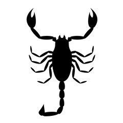 Scorpion vector icon
