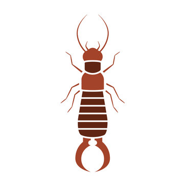 recommend clip art: Earwig bug icon