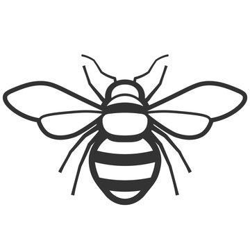 Honey bee icon