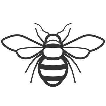 Sketch honey bee side view drawing Royalty Free Vector Image