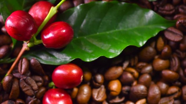 Coffee. Roasted coffee beans background closeup. Rotation 360 degrees. 4K UHD video footage. 3840X2160