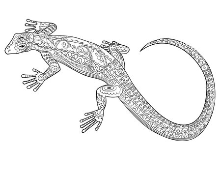 Coloring page with lizard in zentangle style.
