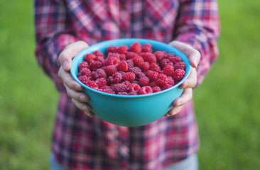 Blue bowl with fresh raspberries in hands