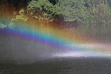 Regenbogen