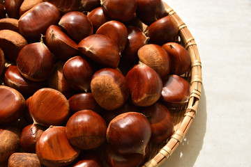 Chestnuts, Autumn harvest