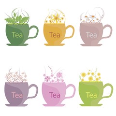 A set of tea made from herbs, mint, lemon balm, chamomile, linden and ivan tea. Vector Illustration