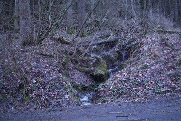 Meyen und Umgebung bei Nacht