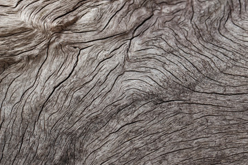 Texture of old wooden natural background
