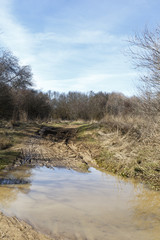 Dirt road through a forest crossing a river
