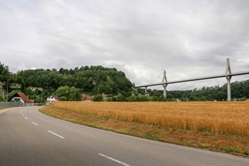 hermoso camino sobre campo amarillo 