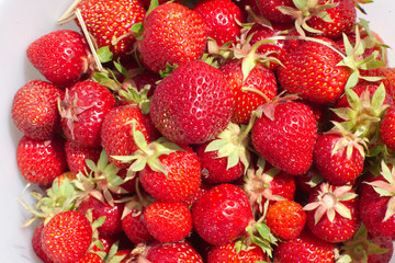 red strawberries background sweet organic fruits
