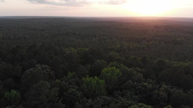 Flying over the pine, hill country of north Louisiana showing the sunset in the distance